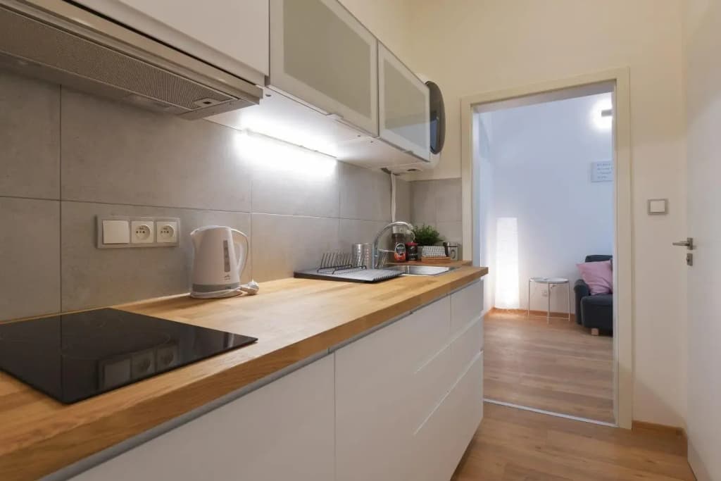 Duplex Apartment - photo 14