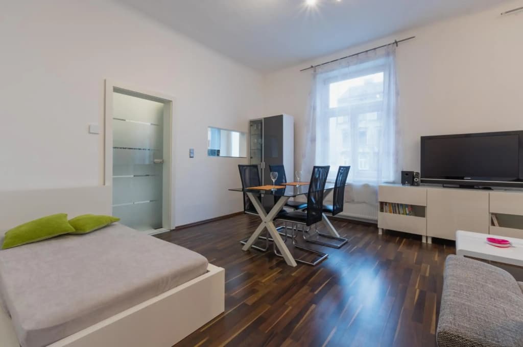 Spacious Apartment in Center with Terrace - photo 5