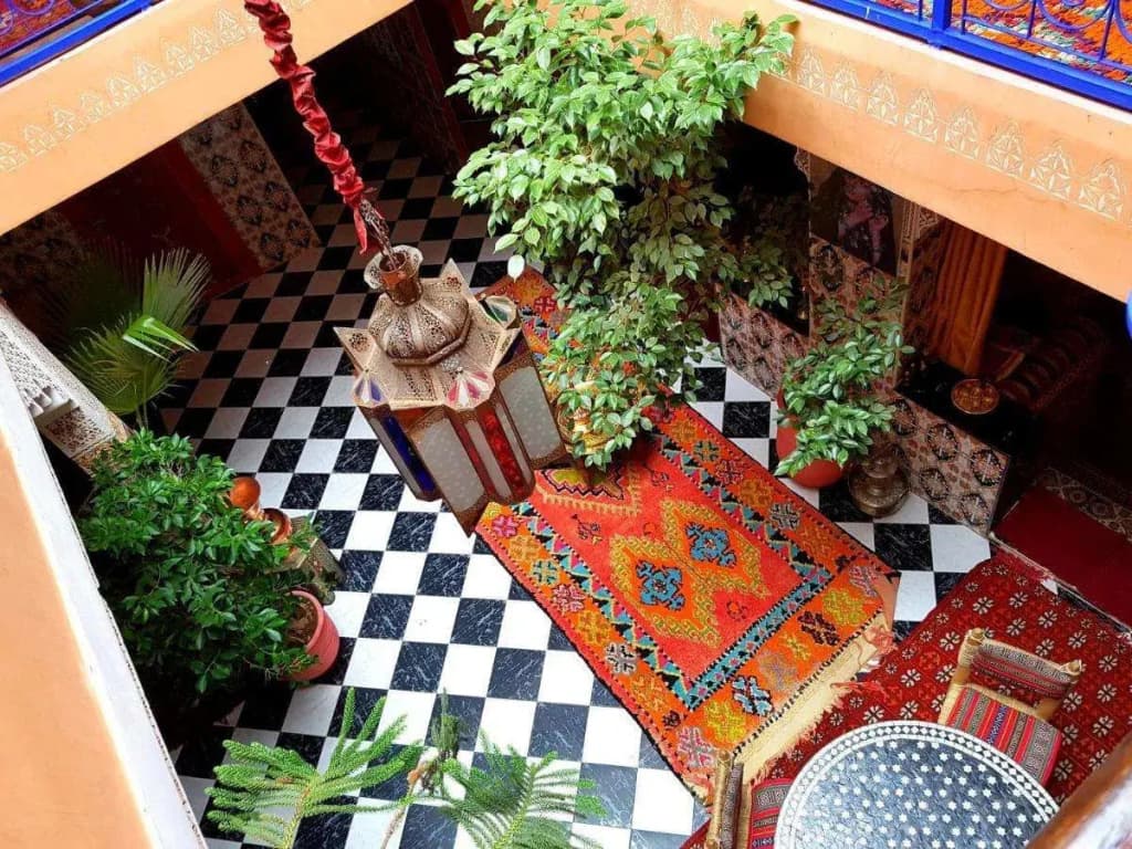 Riad Konouz - photo 9