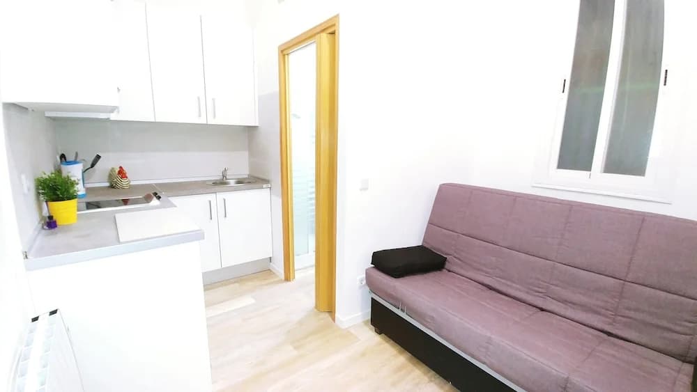Luxury Flat Lavapies - photo 7