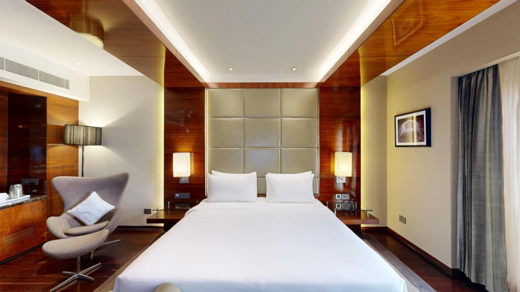 Radisson Blu Plaza Delhi Airport - photo 38