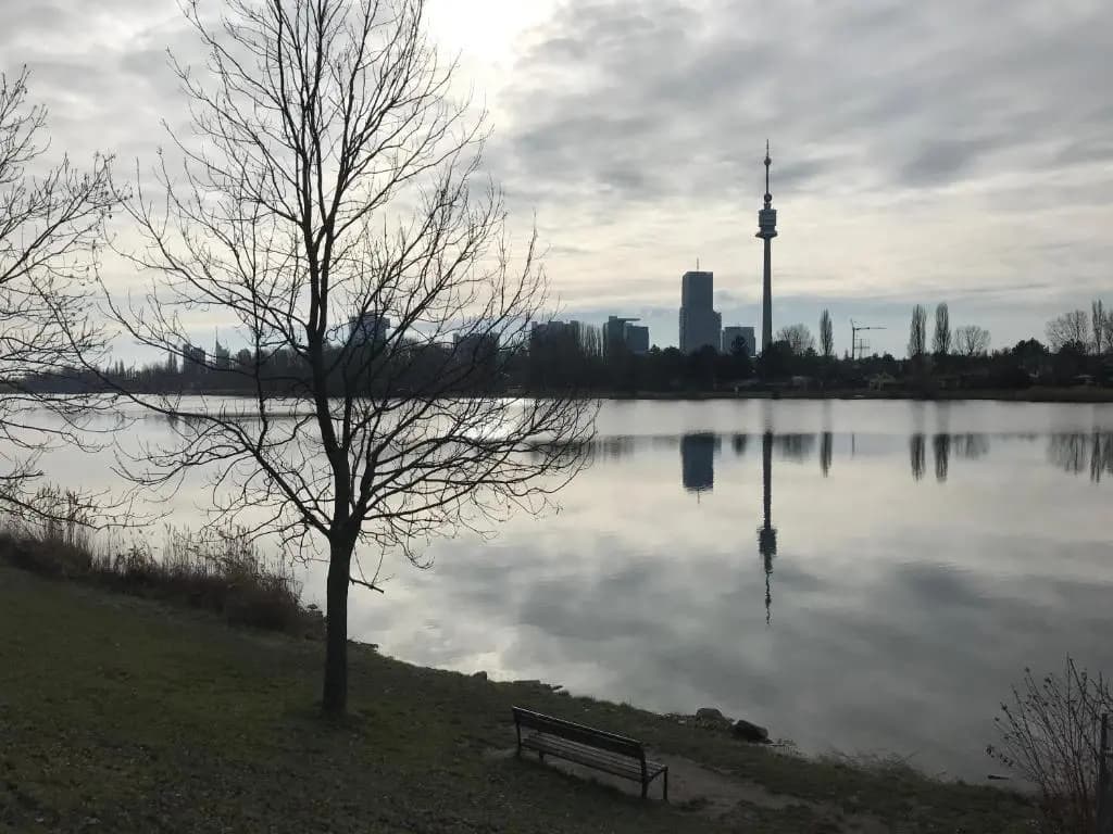 Alte Donau - photo 6