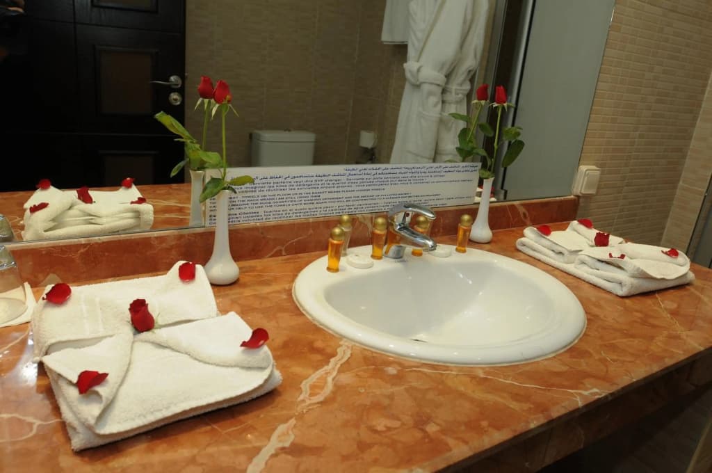 Almas Hotel - photo 10