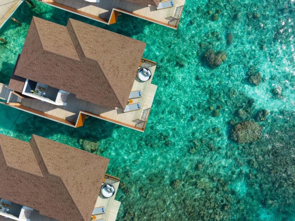 Avani+ Fares Maldives Resort - photo 46