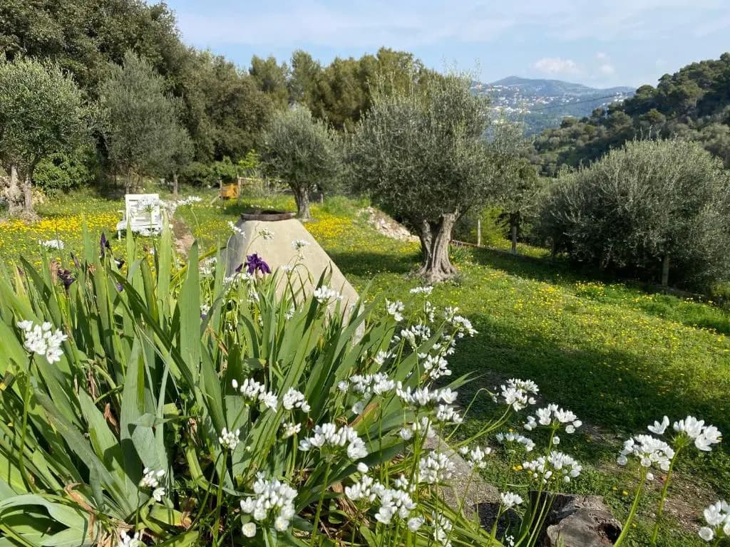 BREATHE - Unique Guest House : City center and nature - photo 3