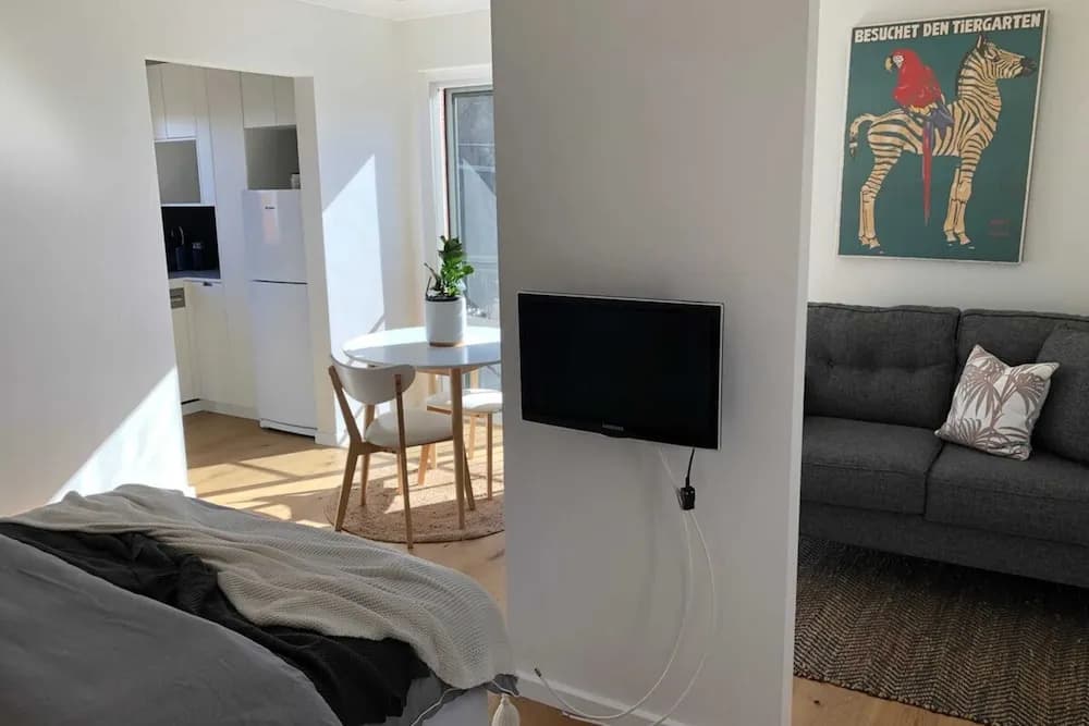Sun-drenched 1 Bed Studio Apartment In Newtown - main photo