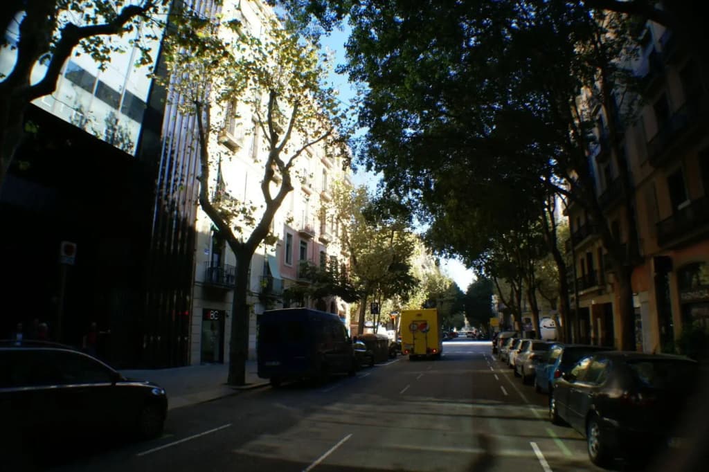 Flateli Borrell - photo 9
