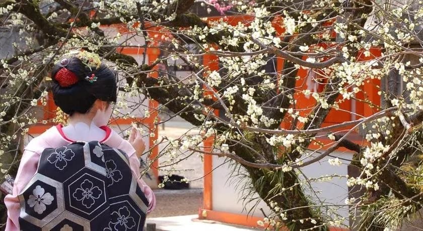 Nijo-an - photo 23