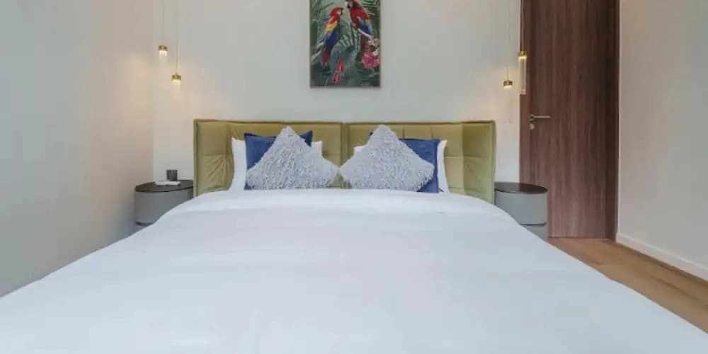 P5v1 Aileen Layan Premier Residences - photo 10