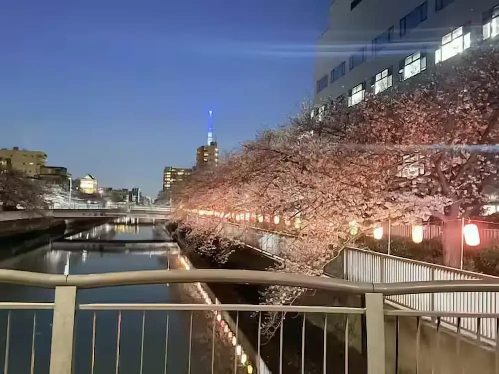 Nakakasai 2 kodate - photo 18