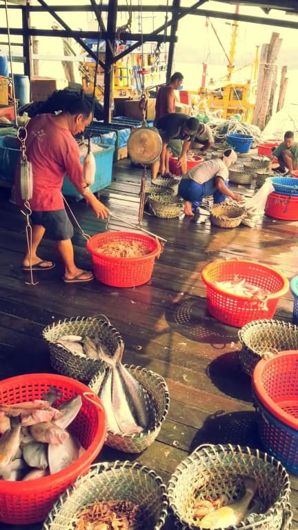 Pangkor Fish House - photo 22