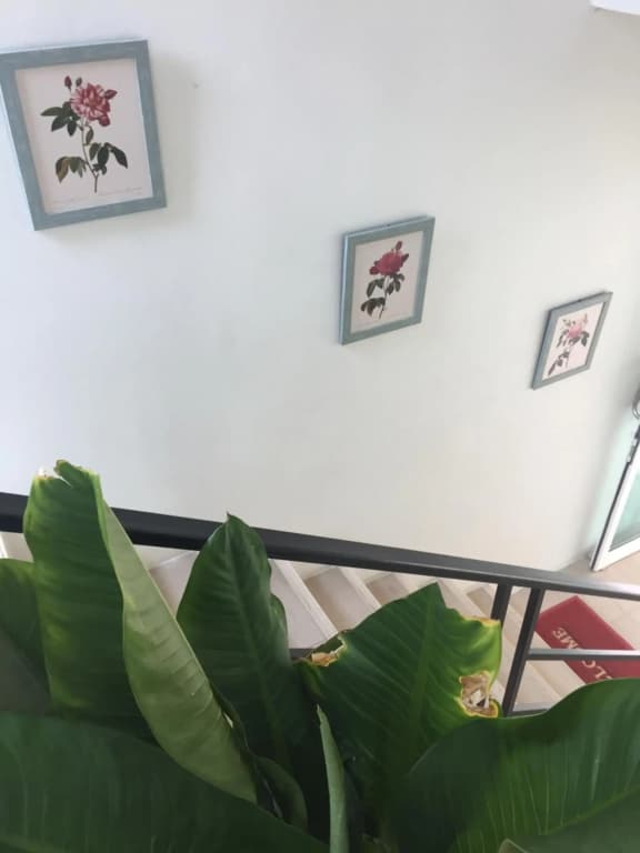 Teak Villa - photo 14