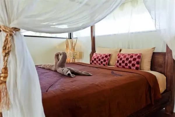 Indigo Villas - photo 3
