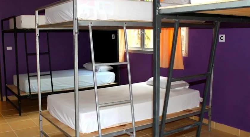 The Lounge - Hostel - photo 5