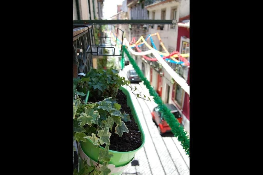 Alface Hostel - photo 8