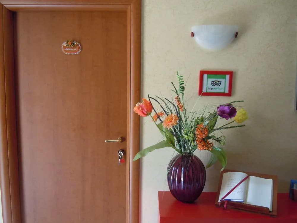 Natalys House - photo 11