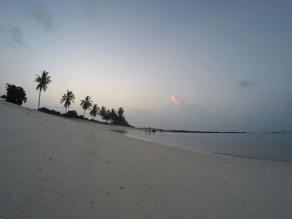 Annama Lodge And Dive - photo 22