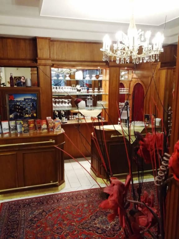 Hotel Domizil - photo 2