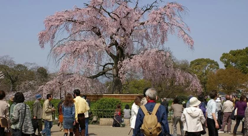 Kyoto Nene House - photo 14