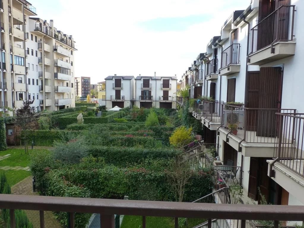 Rutilia22 - photo 9