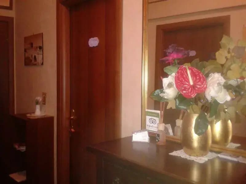Petite Maison - photo 7