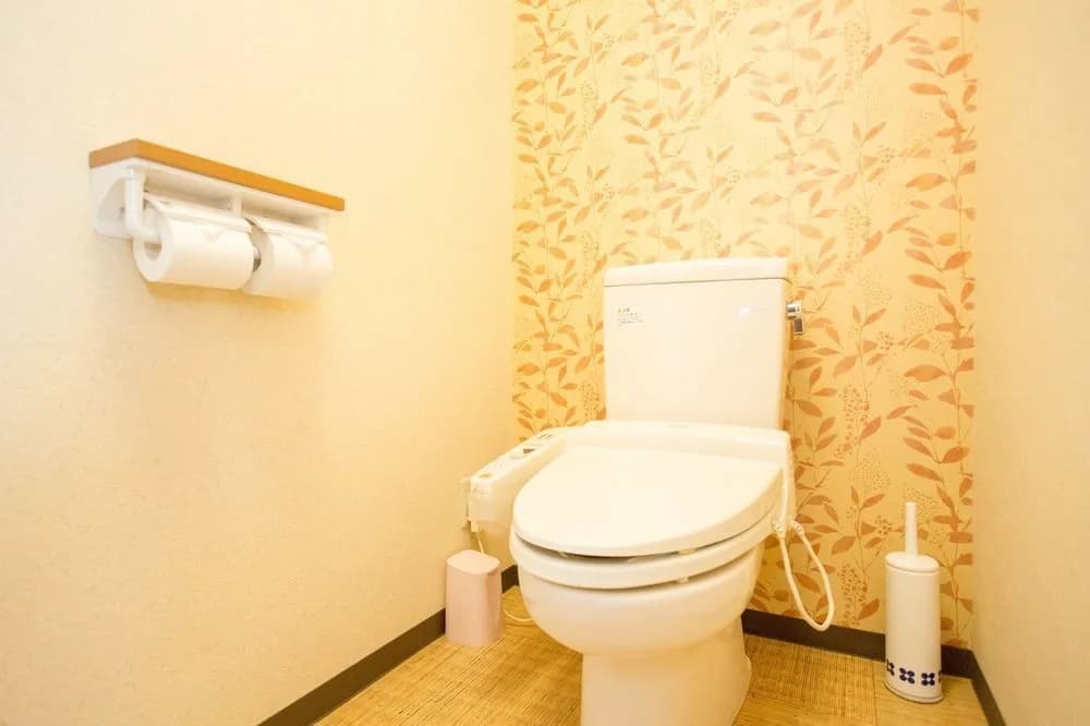 APAPANE Guesthouse - photo 9