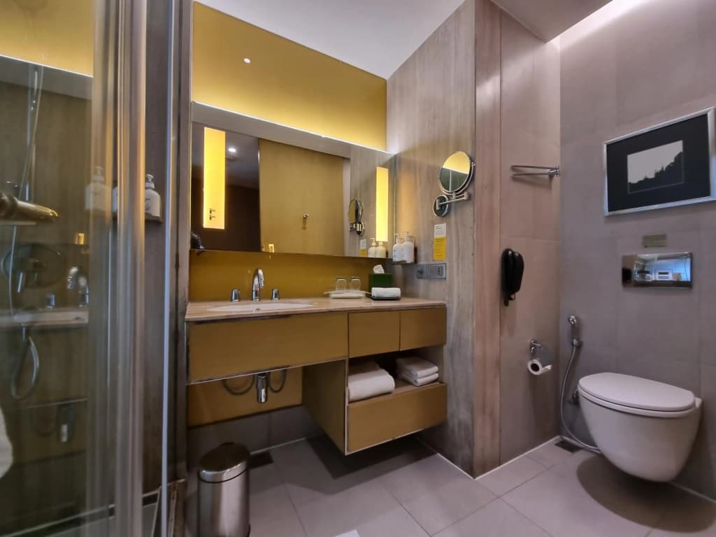 Holiday Inn New Delhi Aerocity by IHG - photo 9