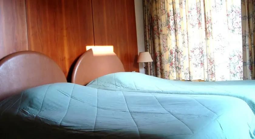 Lion Hotel - photo 5