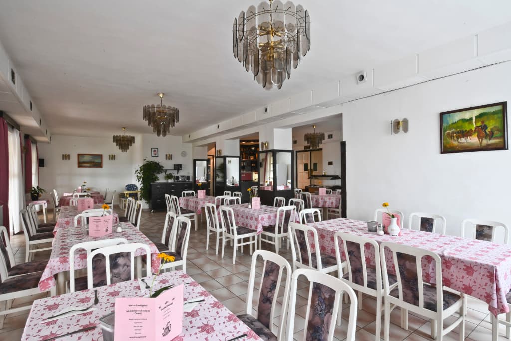 Budai Hotel - photo 22