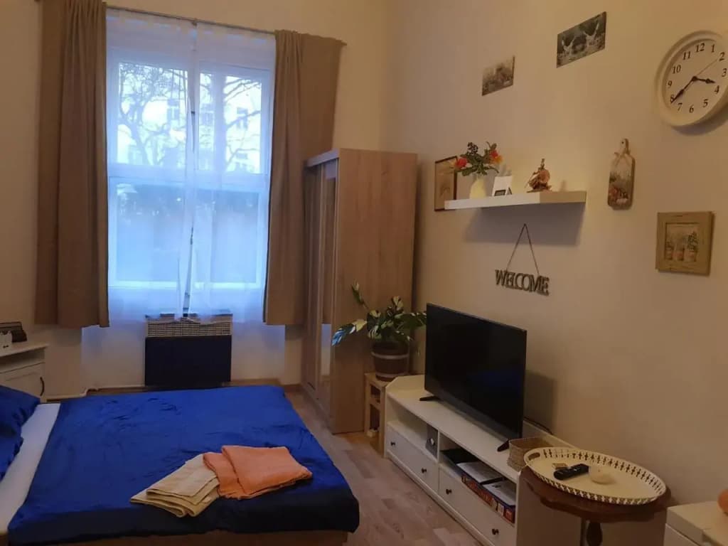 Get Prague Flat Slovenska - photo 6