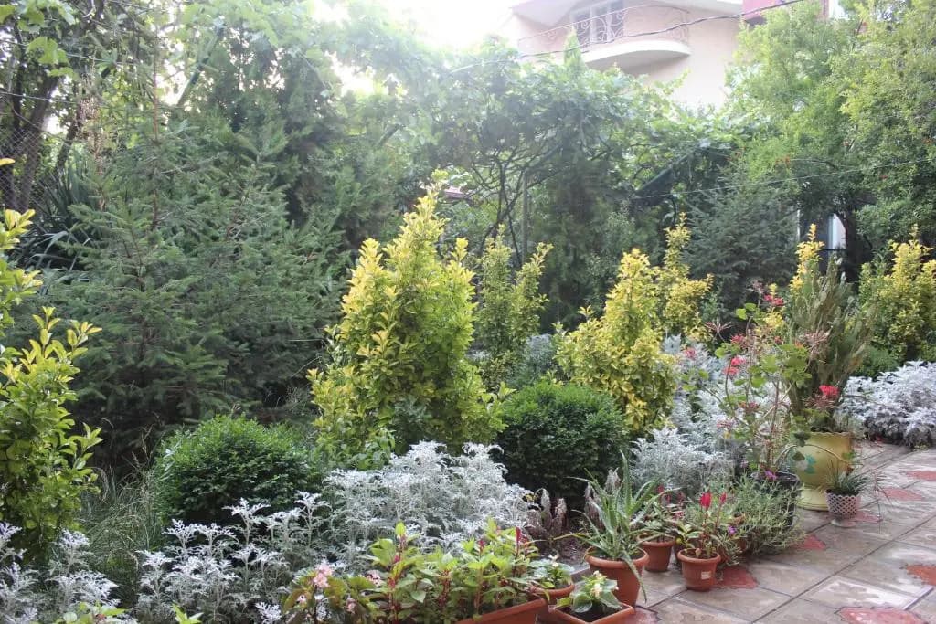 Hotel Panafi - photo 24