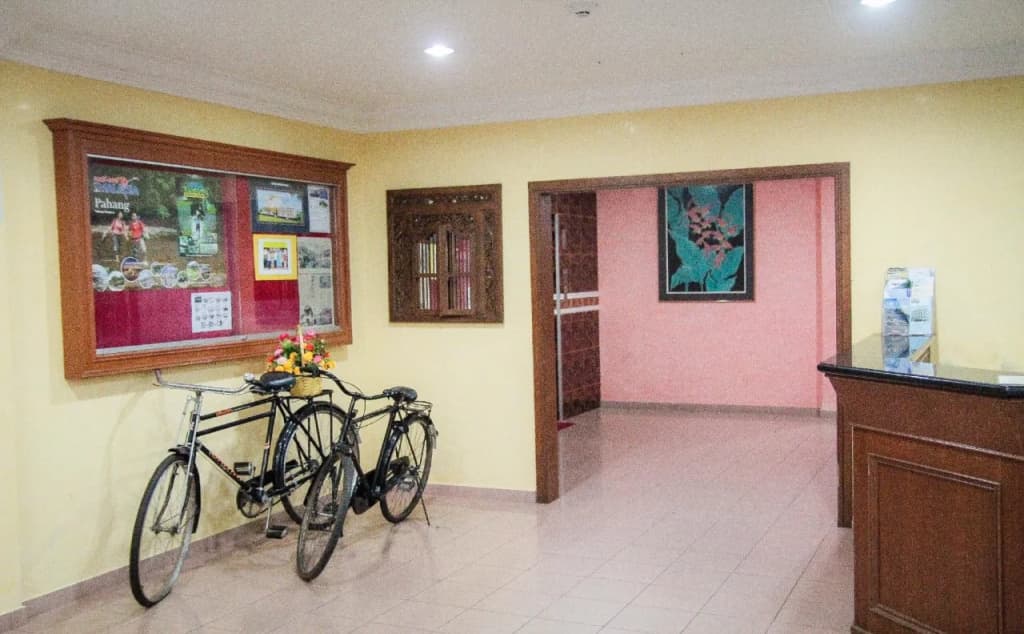 Lipis Plaza Hotel - photo 15