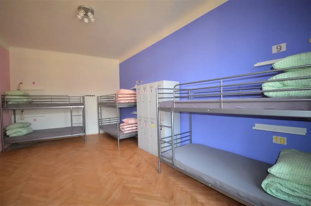 Travel & Joy Hostel - photo 29