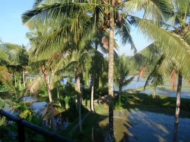 Toko Toko Bungalows - photo 2