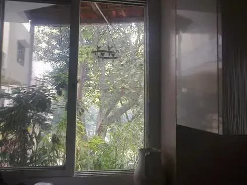 Mayas Nest Hostel - photo 7