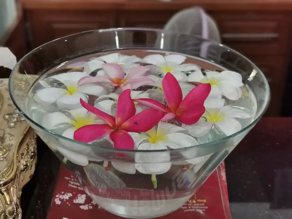 Baan Pattamaporn Hotel - photo 12