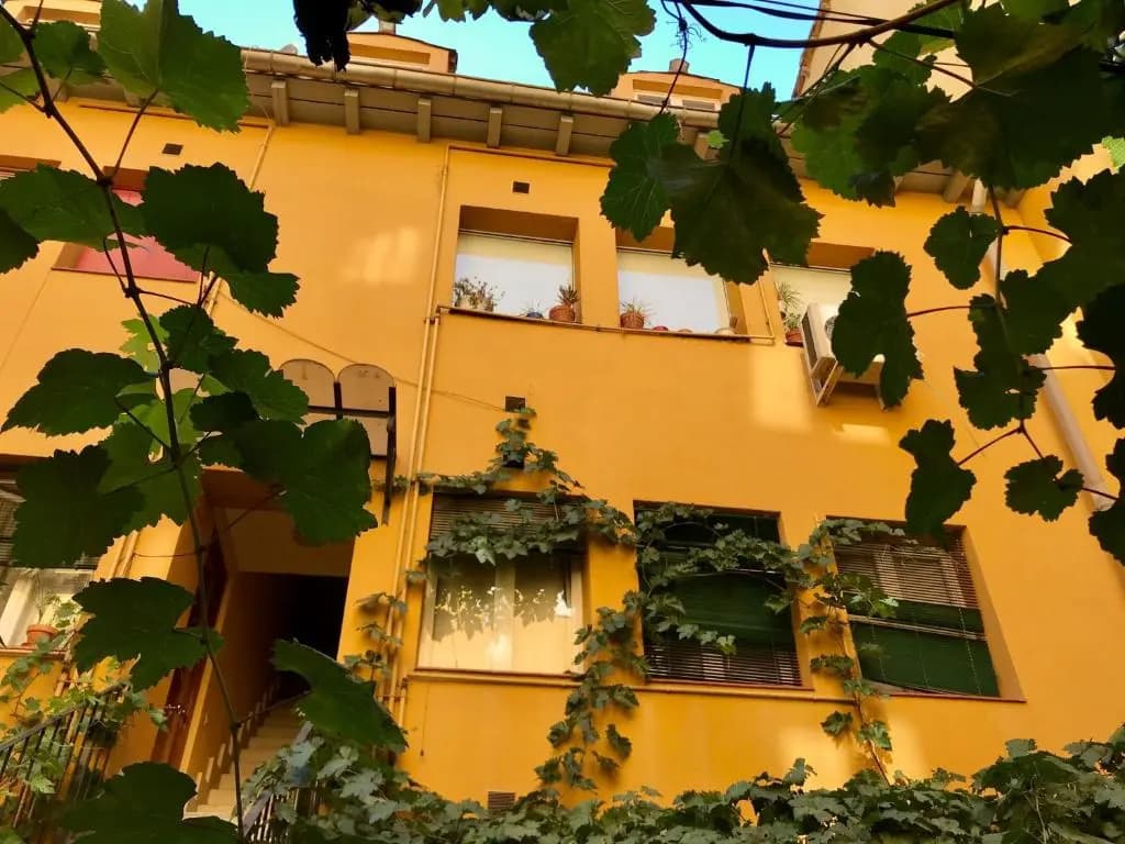 Apartment Olivar - main photo