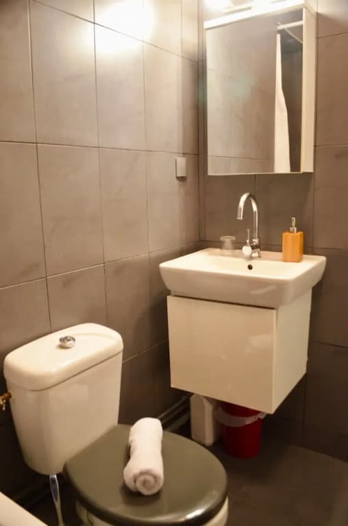 1 Bedroom Flat In Central Marais - photo 7