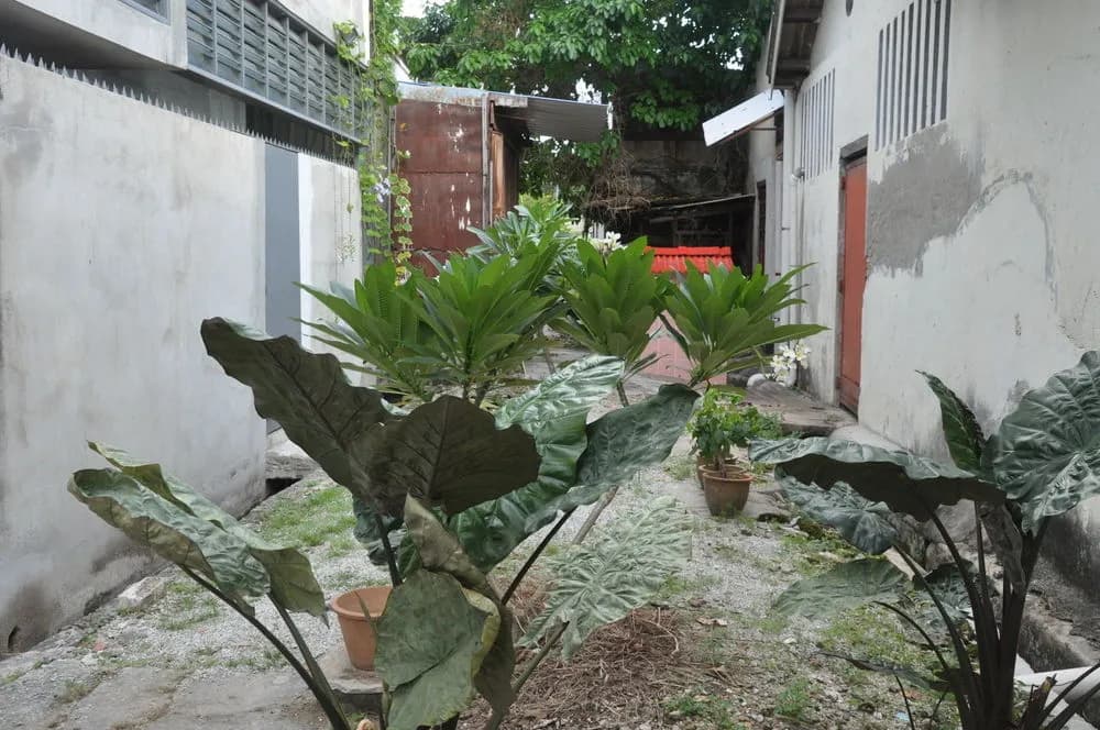 My Guesthouse 109 - Adults Only - photo 18