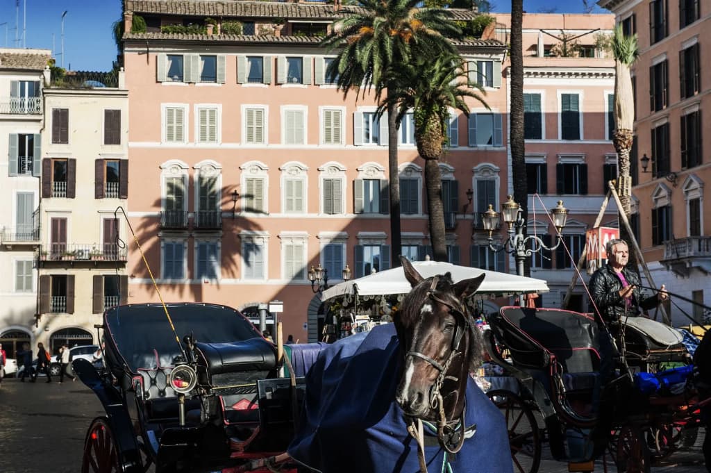 Piazza di Spagna 9 - photo 19