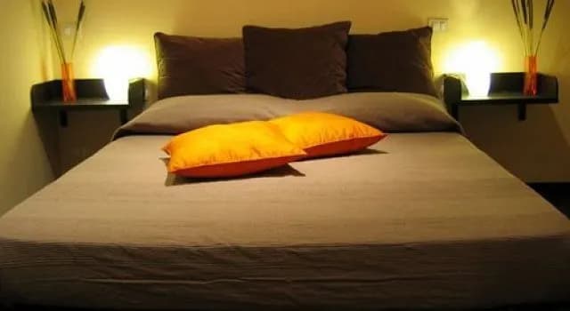 Kiara Guesthouse - photo 21