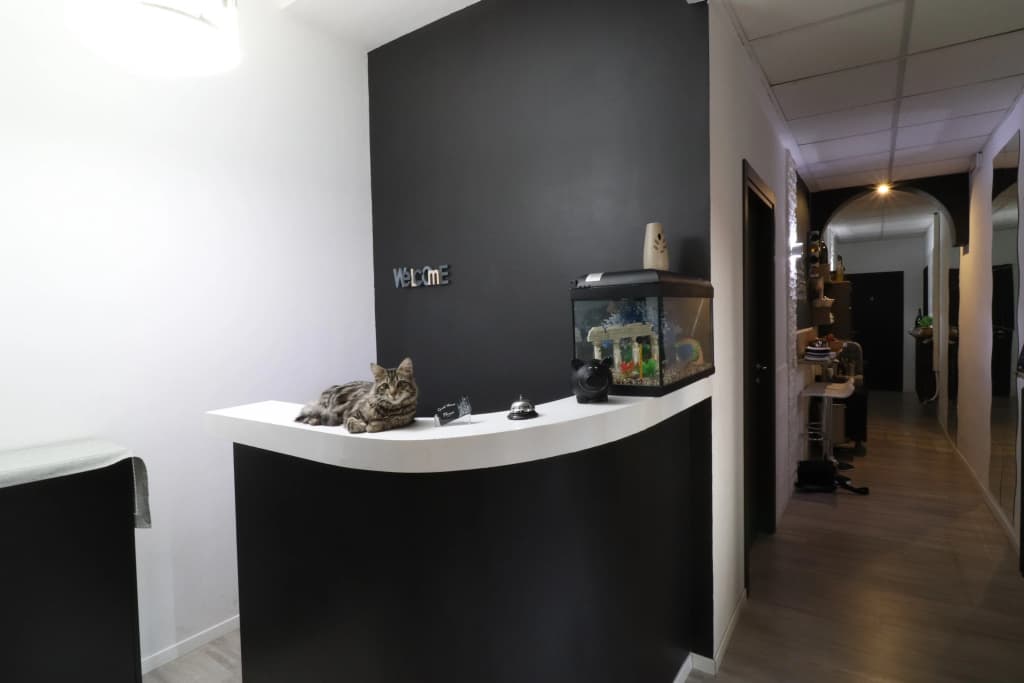 Guest House Minas - photo 16