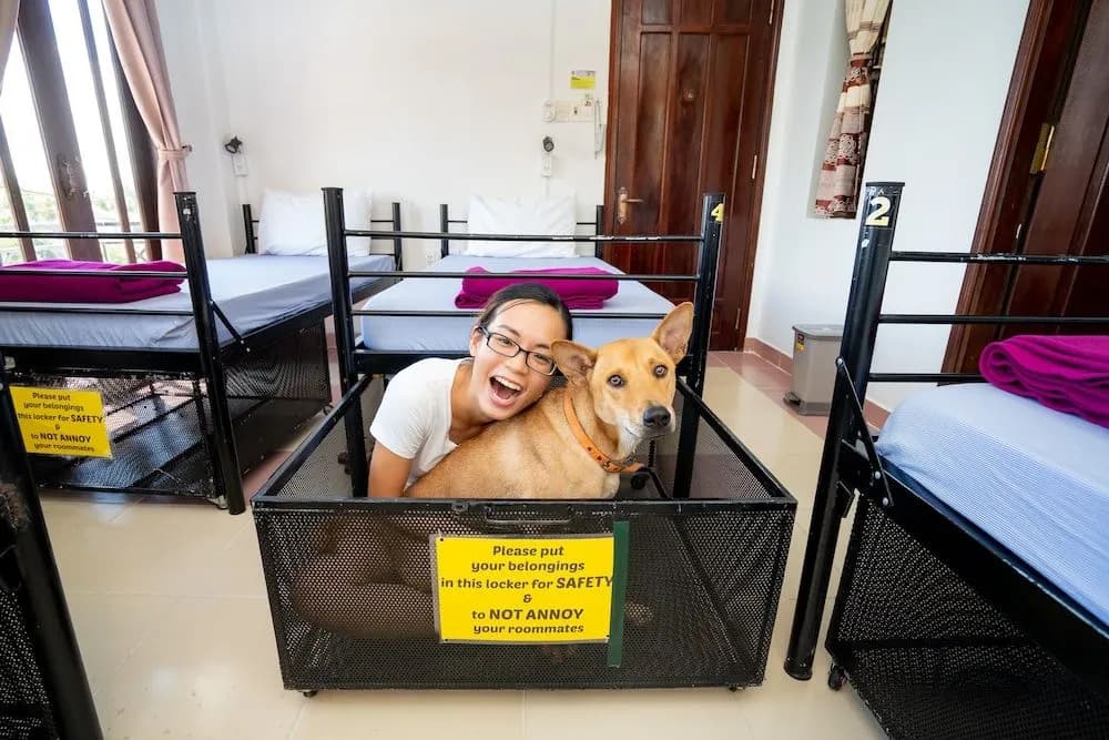 Tribee Ede Central Hostel - photo 10