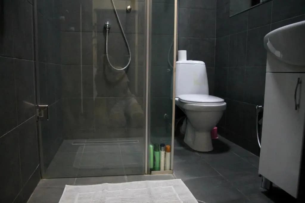 Vake apartment - photo 7