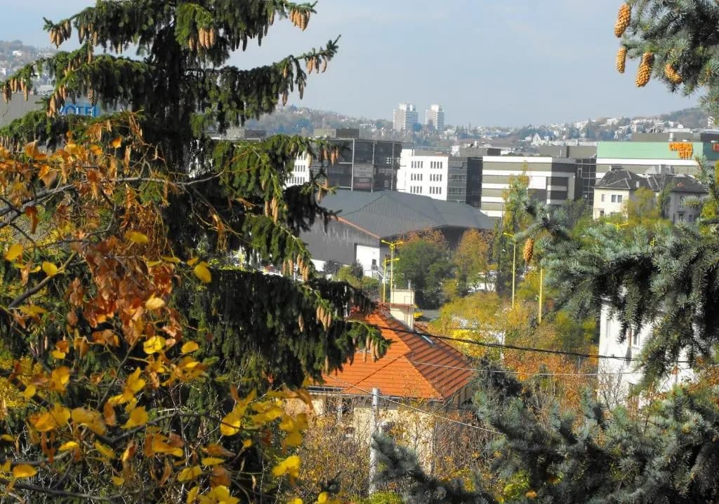 Kis Gellert Guesthouse - photo 11