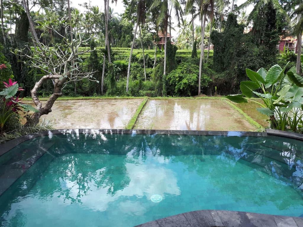Villa Kirani Ubud - photo 7