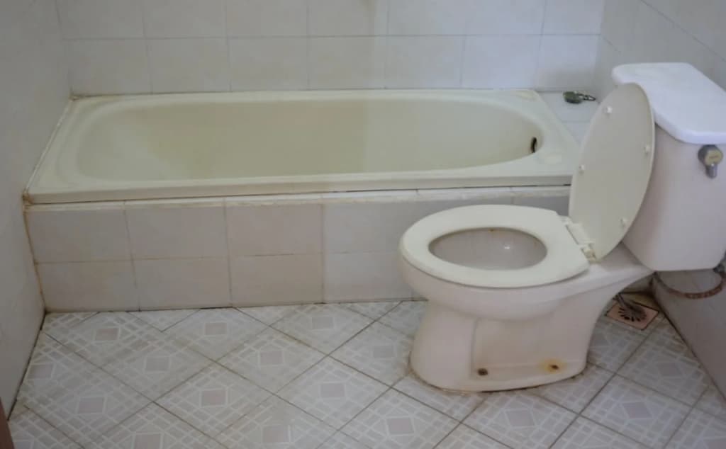 Hotel Satrya Ayu(Satrya Ayu Hotel) - photo 6