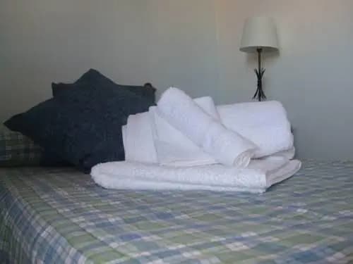 B&B Acquedotto Alessandrino - photo 7