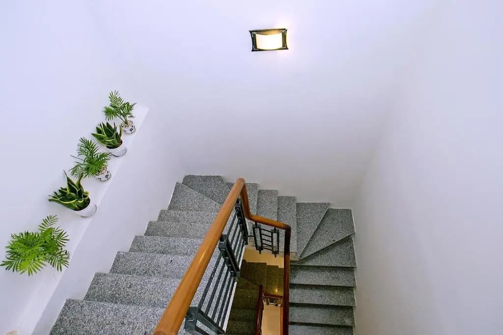 Focus Homestay - photo 8