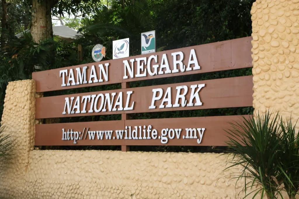 Mutiara Taman Negara - photo 21